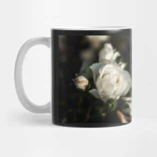 White Flower on a Dark Bokeh Background Mug